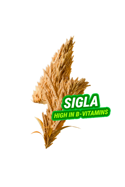 Golden wheat stalk graphic next to a green product label reading “SIGLA – HIGH IN B VITAMINS”