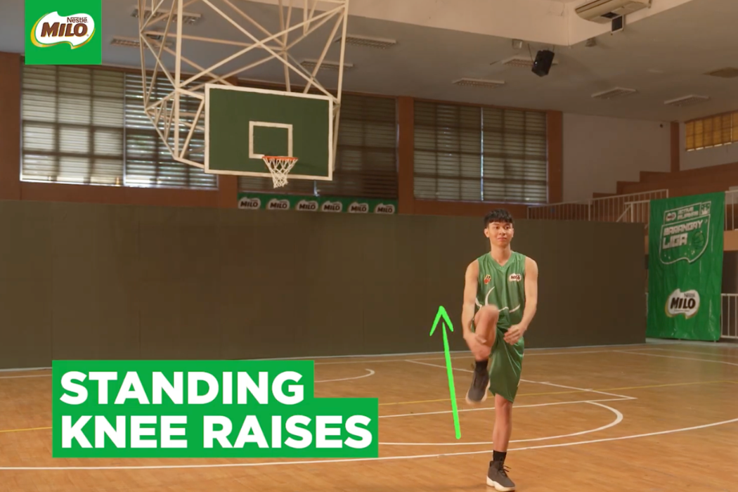 Standing Knee Raises
